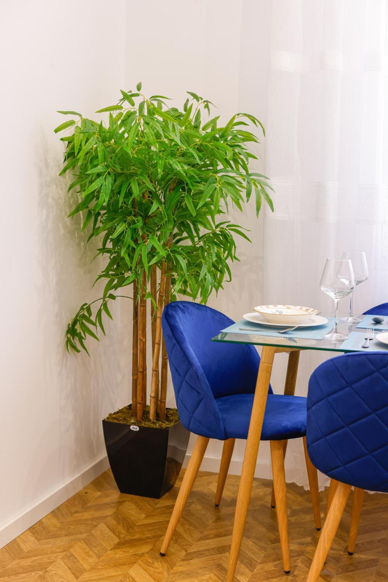 Lucjanos Apartment Tirana